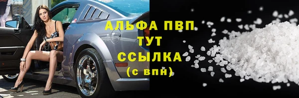 стаф Алексин