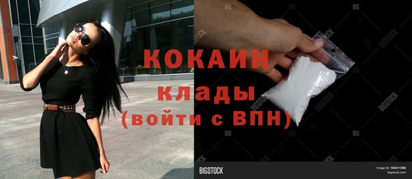 стаф Алексин