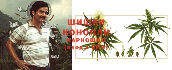 соль ск Алзамай